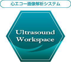心エコー画像解析システム Ultrasound Workspace