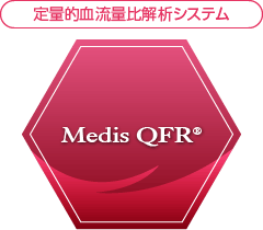 定量的血流量比解析システム Medis QFR